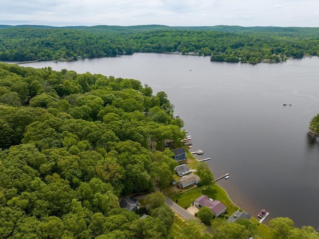 35 Island Rd, Holland, MA 01521 - aerial view of a forest and a large body of water