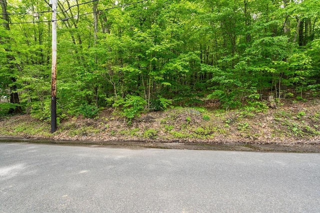 35 Island Rd, Holland, MA 01521 - view of woods