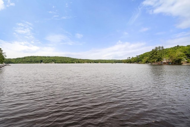 35 Island Rd, Holland, MA 01521 - water view featuring a heavily wooded area