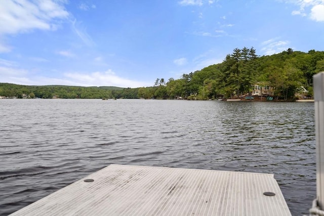 35 Island Rd, Holland, MA 01521 - dock area featuring a water view and a forest view
