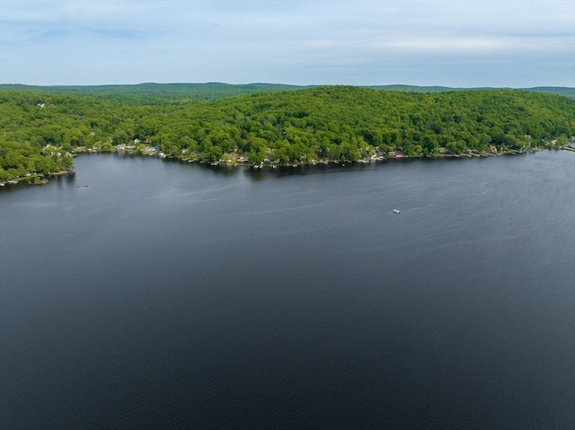 35 Island Rd, Holland, MA 01521 - aerial view of a forest and a nearby body of water