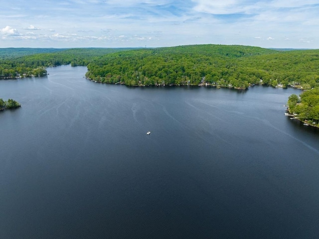 35 Island Rd, Holland, MA 01521 - drone / aerial view of a heavily wooded area and a nearby body of water