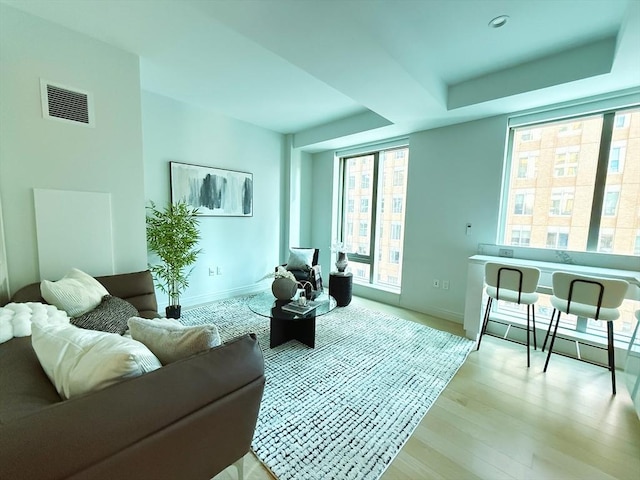 living room with light hardwood / wood-style floors and a tray ceiling