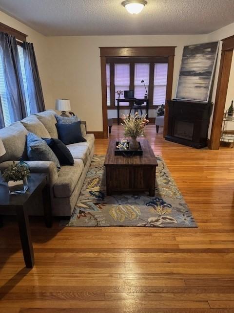 living room featuring a textured ceiling and hardwood / wood-style flooring