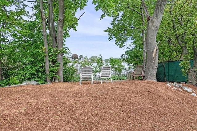 100 Magnolia Ave Unit 26, Lynn, MA 01904 - view of yard