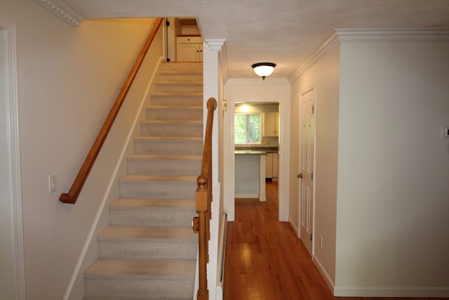 stairway with crown molding and hardwood / wood-style floors