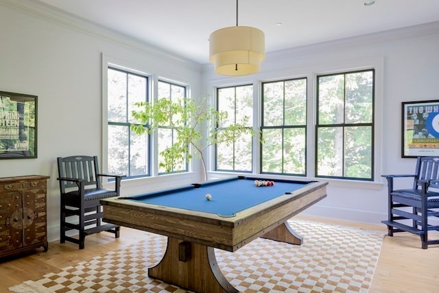 playroom with light hardwood / wood-style flooring, a healthy amount of sunlight, and crown molding