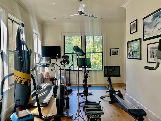 workout area with crown molding, hardwood / wood-style floors, and ceiling fan