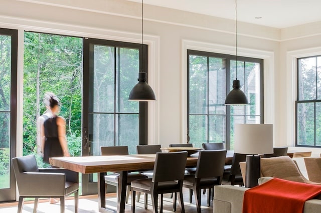 dining space featuring a wealth of natural light