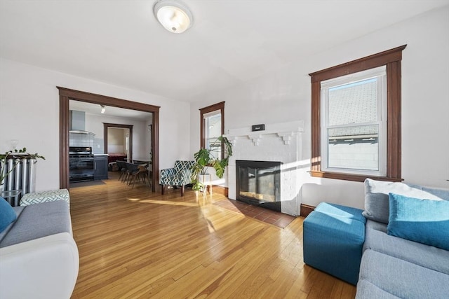 living room with hardwood / wood-style floors