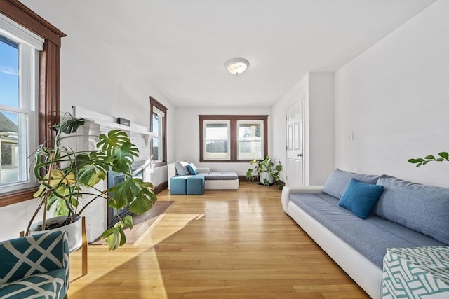 living room featuring light hardwood / wood-style flooring