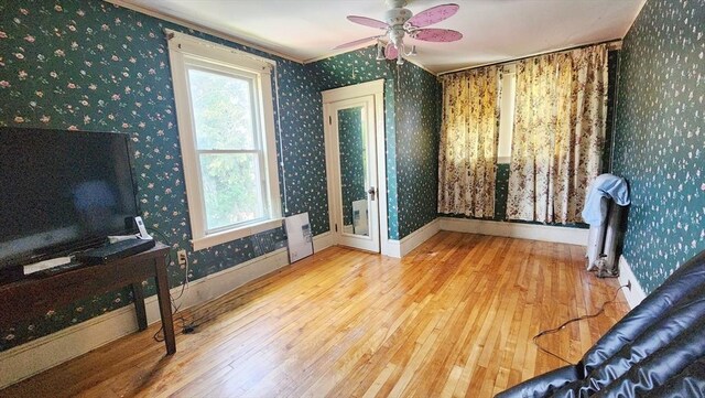 132 Institute Rd, Worcester, MA 01602 - office area featuring wallpapered walls, hardwood / wood-style floors, a ceiling fan, and crown molding