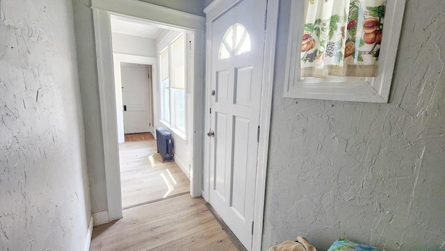 132 Institute Rd, Worcester, MA 01602 - entryway featuring light wood-style flooring and radiator