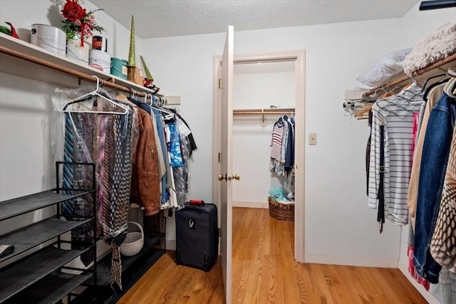 spacious closet featuring wood finished floors
