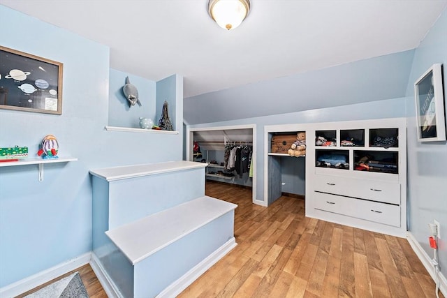 walk in closet featuring wood finished floors