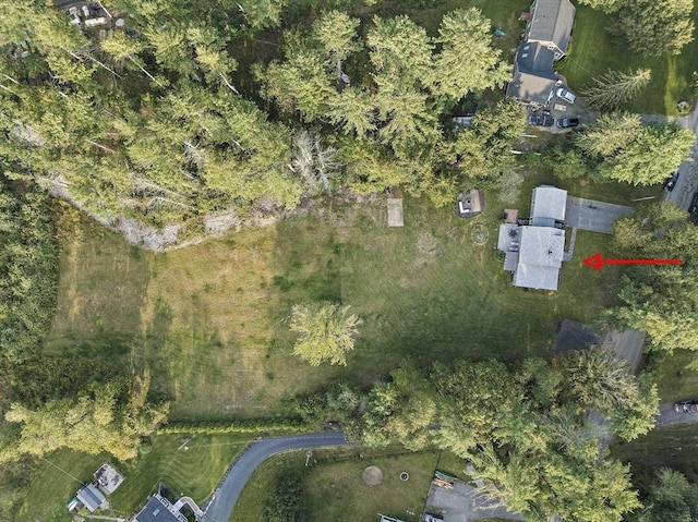 drone / aerial view