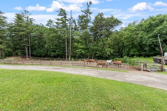 view of property's community featuring a rural view and a lawn