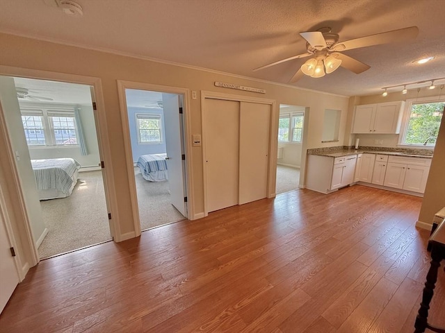 174 Upper County Unit 2-15, Dennis, MA 02639 - kitchen with a ceiling fan, healthy amount of natural light, crown molding, white cabinetry, and light wood finished floors
