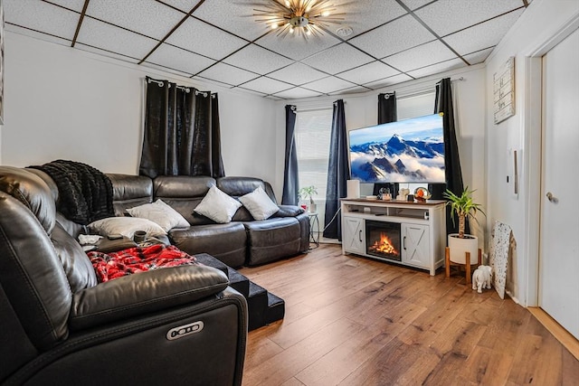 19-21 Pleasant Ter, Lawrence, MA 01841 - living room featuring a drop ceiling, wood finished floors, and a fireplace