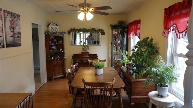 32 Bristol St, Ludlow, MA 01056 - dining room featuring a ceiling fan, plenty of natural light, wood finished floors, ornamental molding, and a baseboard radiator