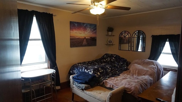32 Bristol St, Ludlow, MA 01056 - bedroom with crown molding and a ceiling fan