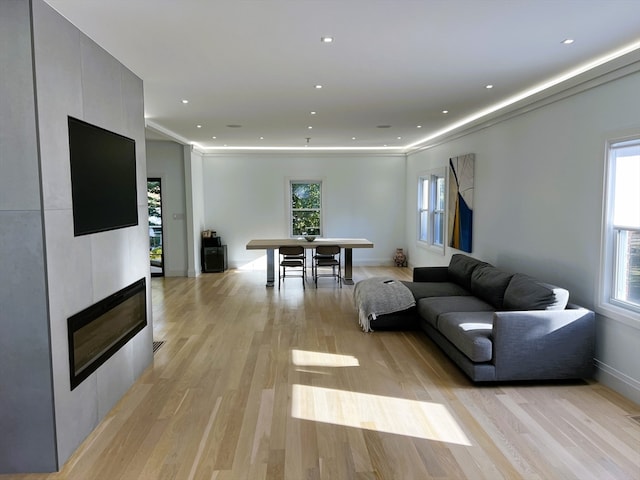 living room featuring a wealth of natural light, light hardwood / wood-style floors, and a fireplace