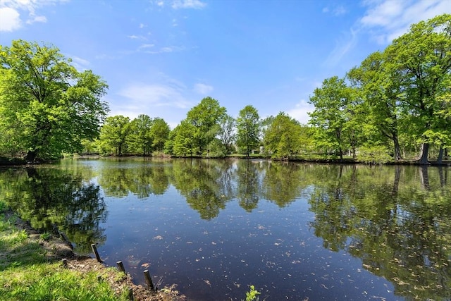 114 Fenway Unit 2, Boston, MA 02115 - water view