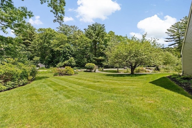 39 High Beacon Way, Marshfield, MA 02050 - view of grassy yard