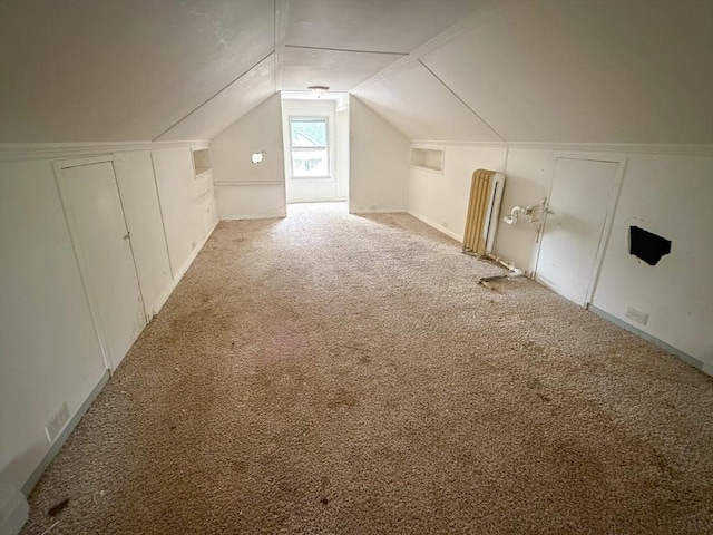 23 Eldert St, Springfield, MA 01109 - bonus room with carpet flooring and lofted ceiling