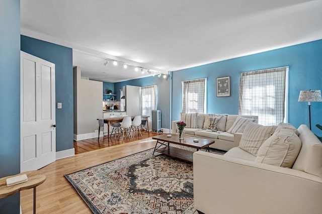 2 Oxford Pl, Worcester, MA 01609 - living area featuring radiator, rail lighting, wood finished floors, and baseboards