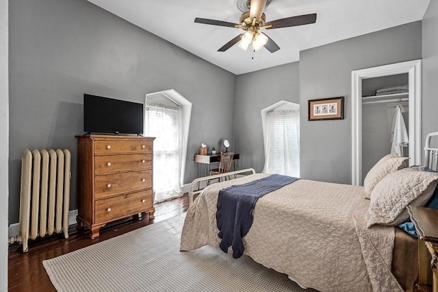 2 Oxford Pl, Worcester, MA 01609 - bedroom with radiator, multiple windows, wood finished floors, and a ceiling fan