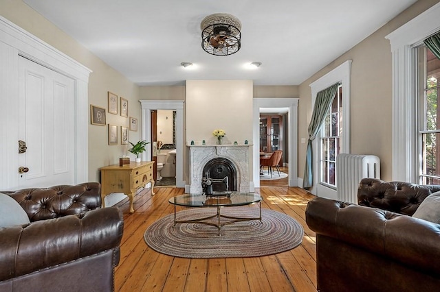 2 Oxford Pl, Worcester, MA 01609 - living area featuring radiator heating unit, hardwood / wood-style flooring, and a fireplace