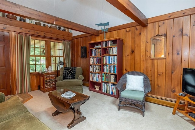 21 Overlook Dr, Chelmsford, MA 01824 - sitting room featuring wood walls and carpet