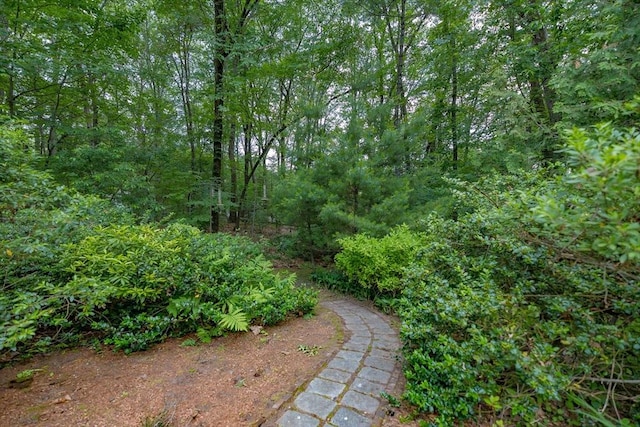 21 Overlook Dr, Chelmsford, MA 01824 - view of yard
