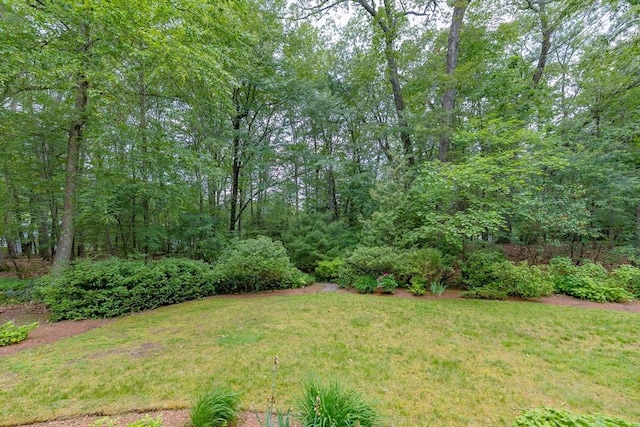 21 Overlook Dr, Chelmsford, MA 01824 - view of green lawn