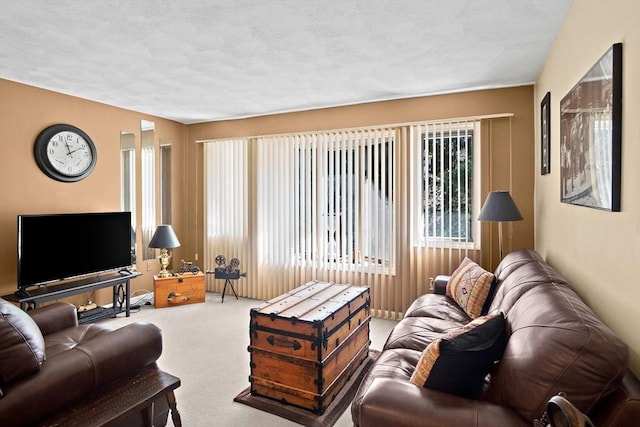 carpeted living room featuring a textured ceiling