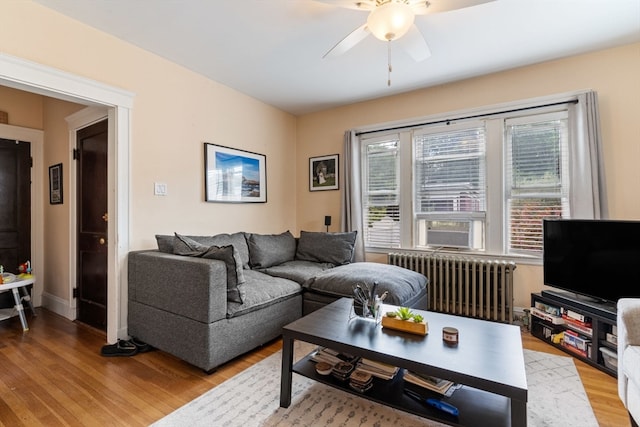 living room featuring light hardwood / wood-style flooring, ceiling fan, and radiator