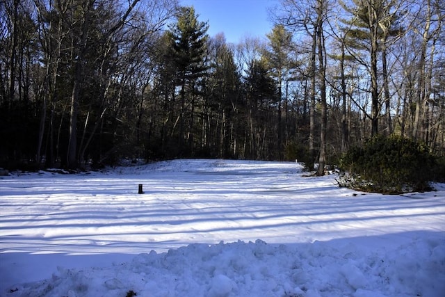 snowy yard featuring a wooded view