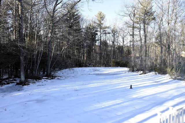 yard layered in snow featuring a wooded view