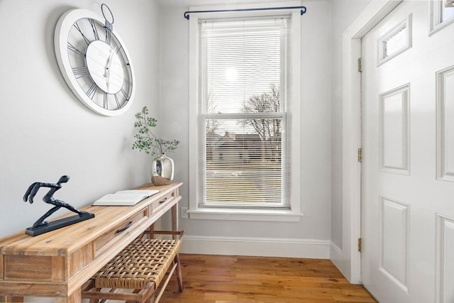 doorway with wood-type flooring and a wealth of natural light