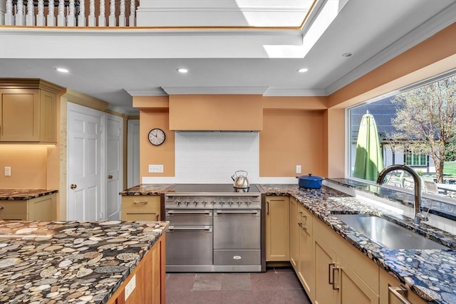 12 Old Meadow Rd, Dover, MA 02030 - kitchen with double oven range, a sink, dark stone countertops, crown molding, and a skylight
