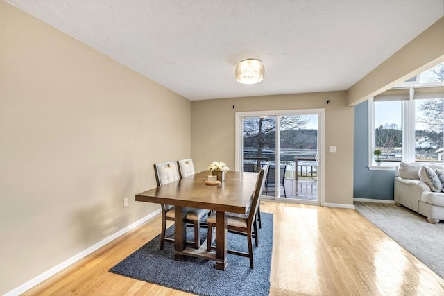 dining space featuring hardwood / wood-style flooring