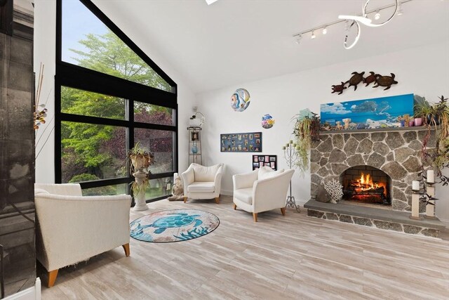 75 Narrows Rd, Freetown, MA 02702 - living room with a stone fireplace, wood finished floors, high vaulted ceiling, rail lighting, and a chandelier