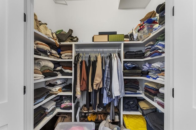 view of spacious closet