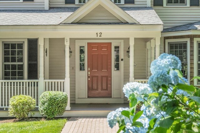 property entrance featuring a porch and roof with shingles