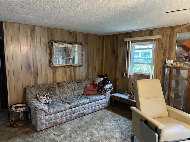 24 Arnold St, Ludlow, MA 01056 - carpeted living room featuring wooden walls and a textured ceiling