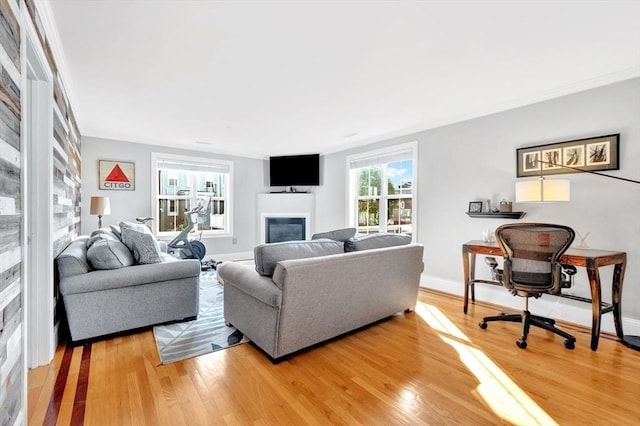 living area with light wood finished floors, baseboards, and a glass covered fireplace