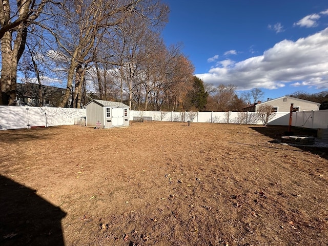 view of yard with a shed