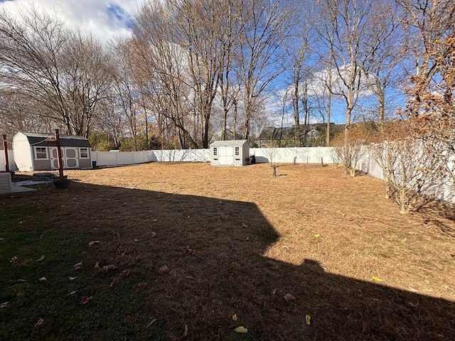 view of yard with a shed