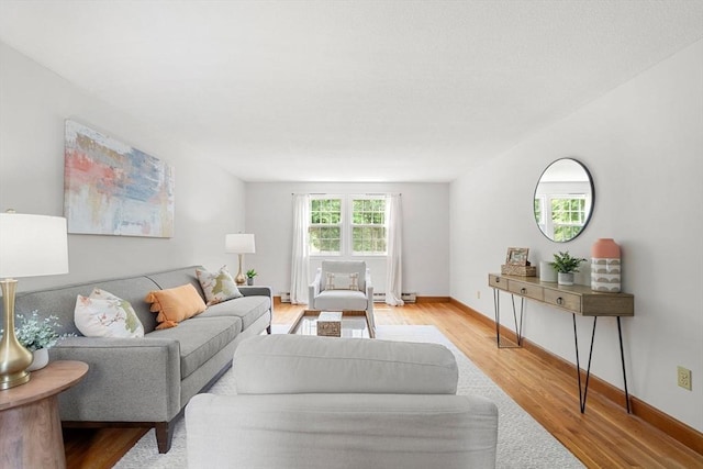 6 Lancaster Pl, Andover, MA 01810 - living room featuring light wood-style flooring and baseboards